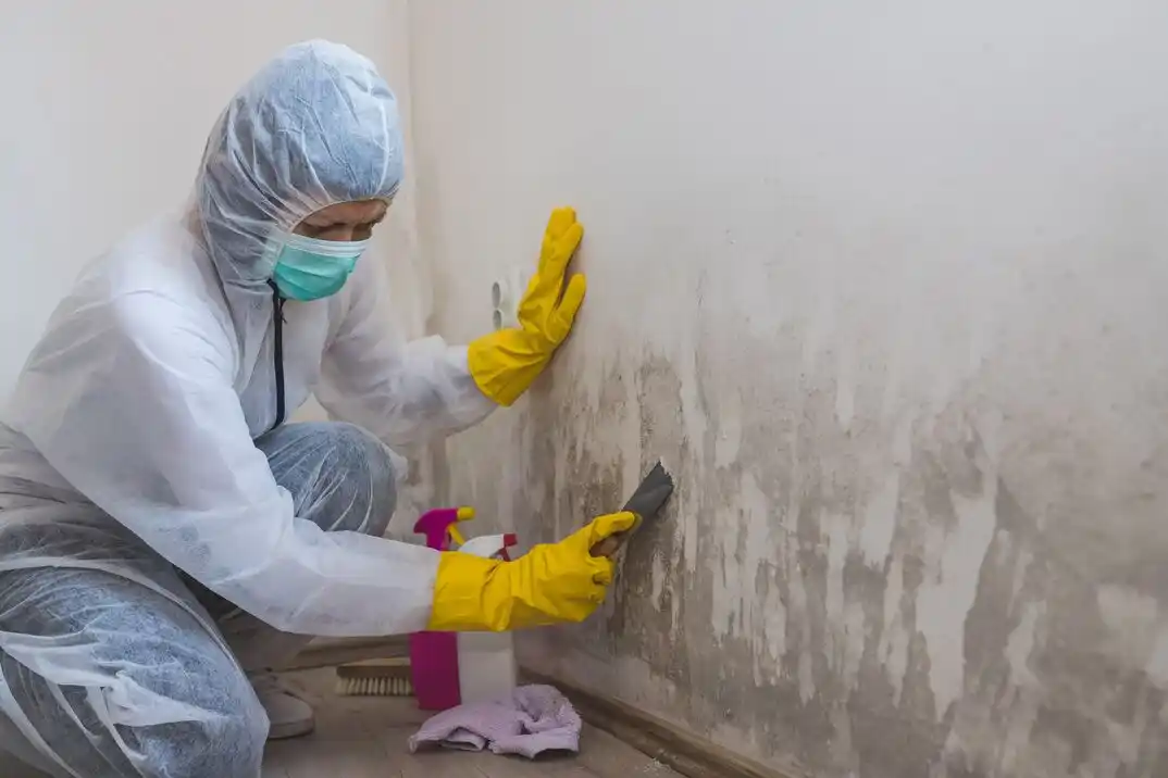 water damage restoration service South Lake Union